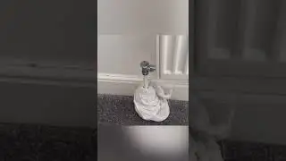 New TRV , no system drain. Easy peasy 😎🕺