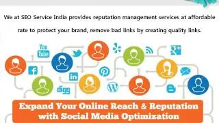 Search Engine Optimization Packages || Professional SEO company India