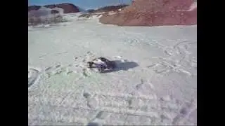Traxxas Rustler - Feigao 5070