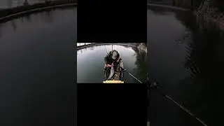 Absolutely 🔥 thanksgiving catfishing trip! Back to back action!! #fishing #kayakfishing #catfish 