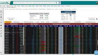 Option Chain Analysis: Using The Option Pricing Model to Analyze Market Prices