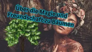 Wie und Warum wir als Menschen, vom Kontakt zu B&auml;umen zutiefst profitieren k&ouml;nnen.
