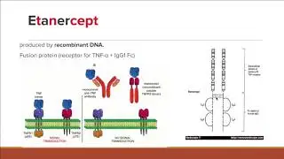 Tnf a Inhibitors Usmle Comlex Review