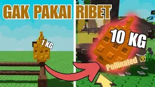 🍯 AUTO KAYA! Farm Honey Cuma Pakai 1 Buah 10KG (Triks Pollinated!)