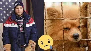 US Olympic Skier Gus Kenworthy Rescued 90 Dogs From Korean Dog Meat Farm