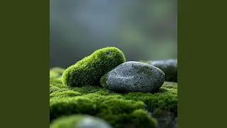 The Mossy Stones