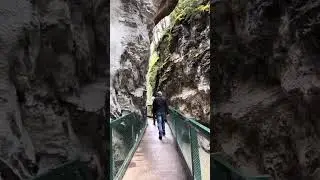 Johnston Canyon hike #banff #canada #alberta #hiking #adventure #nature #video #waterfall #trail #yt