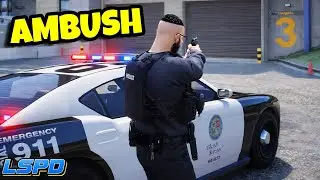 The CRAZY Pursuit That Ended At Humane Labs