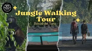 Bocas del Toro- From the jungle to the surf break