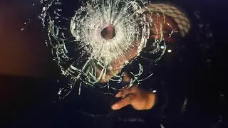 VA Michigan - V.4.T.W.