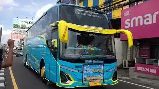 Kompilasi hasil hunting bus jogja ada artisnya loh#telolet#busmania