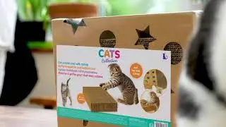 Cat Box Scratcher Scratching Pad - GEEZY