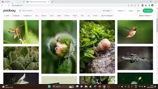 Thunkable Environment | Mobile Development for Beginners using Thunkable | Speak Project Part1