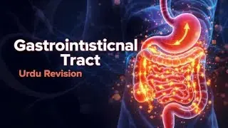 Gastrointestinal Tract Physiology | GIT Physiology in Urdu