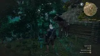 The Witcher 3: Wild Hunt - Roach Getting It On With a Tree