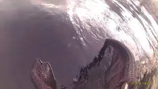 Fishing Adams Lake with TNT