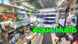 New Fish Stock at Aqua Hubb Aquarium Store