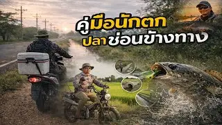 คู่มือ | นักตกปลาช่อนข้างทาง