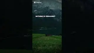 Nothing is permanent #motivation #mindset #selfimprovement #shorts