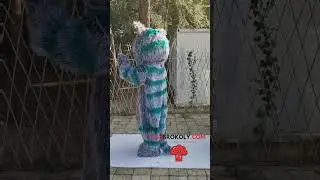 Cheshire Cat Mascot Costume Fancy Dress for Halloween Carnival Party