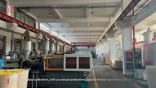 ABS PVC Fiber Optic Cable Tray Raceway 120mm-360mm Fiber Solutions for Cable Laying Communication