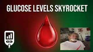 Week 87 Diabetes Reversal Update | The Numbers Don't Lie