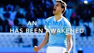 ALEXANDER JEREMEJEFF | AN ANIMAL HAS BEEN AWAKENED | HIGHLIGHTS 2014-2017