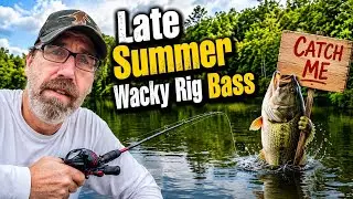 Illinois Late Summer Bass Fishing Wacky Rig Style (making worms dance for fish ) 