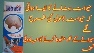 Best udher increase medicine !! Udher right oral medicine fir animals