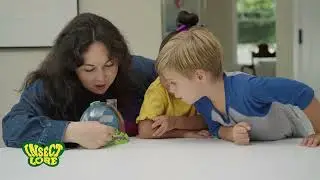 Insect Lore Commercial: Watch Ladybug Land Come Alive!