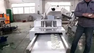 Onion Peeling and Root Cutting Machine