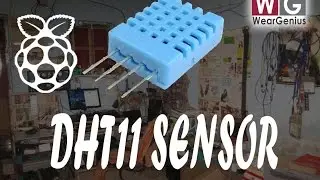 Temperature and Humidity Sensor DHT11 Interfacing with PI | Raspberry Pi #13