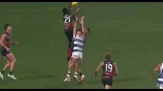 Leek Aleer GWS Giants Mark Of The Year 2024