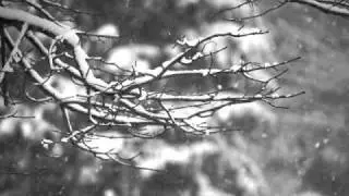 Agalloch - Falling Snow (Alternate Mix)