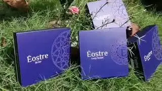 EOSTRE ENERGY PENDANT AND BIO DISC