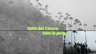 VALLE DEL COCORA !LAS PALMAS DE CERA MÁS ALTAS DEL MUNDO!