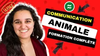 Communication animale formation en ligne - formation communication animale anna evans #PARTIE3