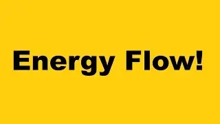 Energy flow in an ecosystem!