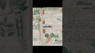 The Unsolved Book Mystery!!!!!