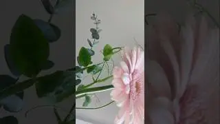 давайте быстро решим этот вопросик 📝 #maths #formula #shortvideo #vibes #genius #вопросответ