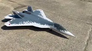 Model T50 PAK FA 2200mm. Remy build