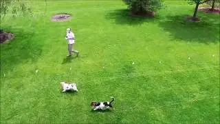 DogWatch of Greater Cincinnati's Drone-Powered 