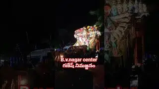 #ganesh nimajjanaam #B.V.nagar nellore
