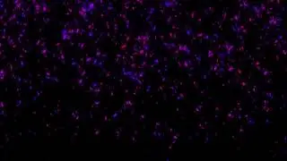 Green Screen Particles Flying || Particles Overlay || Green Screen Alpha