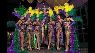 Mardi Gras 72 Costume Accessory Feather Boa