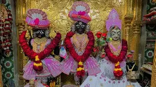 છ ધામના દેવોના આજના દિવ્ય શણગારના દર્શન તા:- ૨૮ /- ૧૨ /- ૨૦૨૫ ને રવિવાર | Daily Darshan