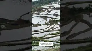 Terrace farming by Hani Village folks, Yuanyang, Yunnan, #china #chinatravel #yunnan #yunnanprovince