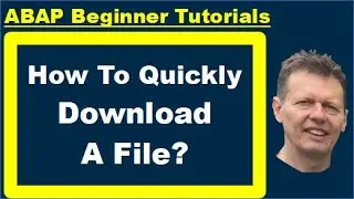 ABAP Beginners Tutorial: How To Quickly Download A File?
