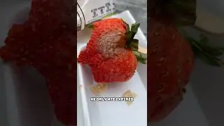 HE ONLY ATE EXPIRED FOOD FOR A YEAR!