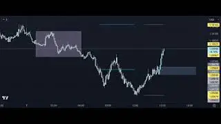 How to Trade Without Emotions